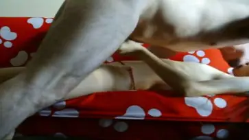 Bispak Jakarta Hotel Bintang Lima Skandal Heboh